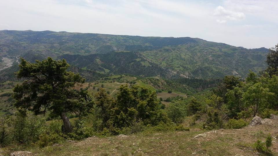 Bayat Yenişıhlar  Köyü Resimleri 8