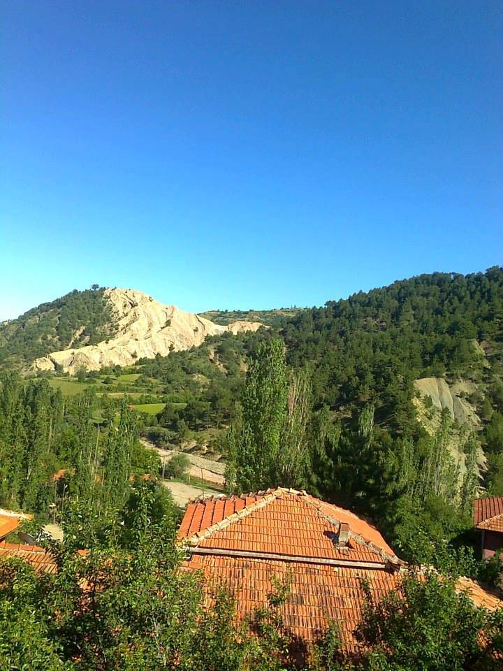 Bayat Yeşilçat Köyü Resimleri 5