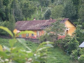 Ardeşen Akkaya Köyü Resimleri 2