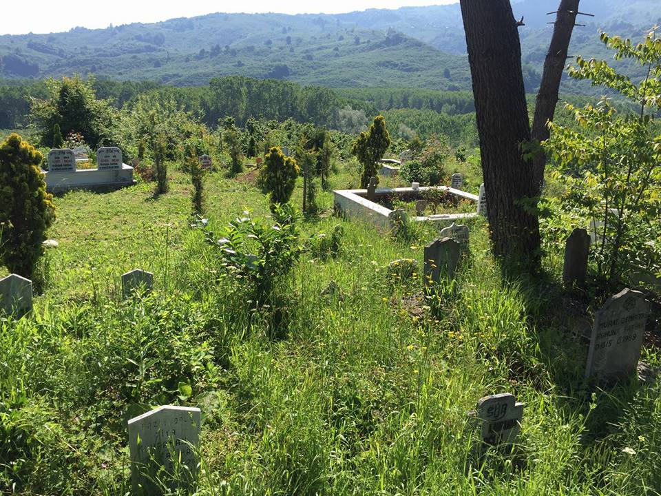 Kocaali Bezirgan Köyü Resimleri 7