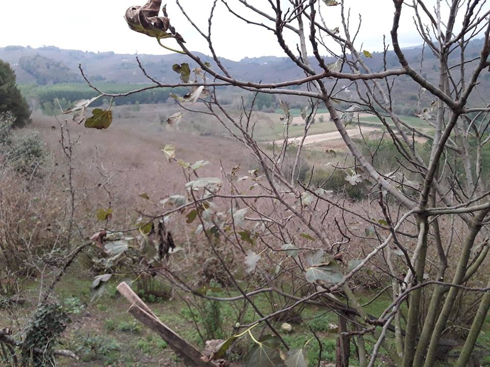 Kocaali Bezirgan Köyü Resimleri 8