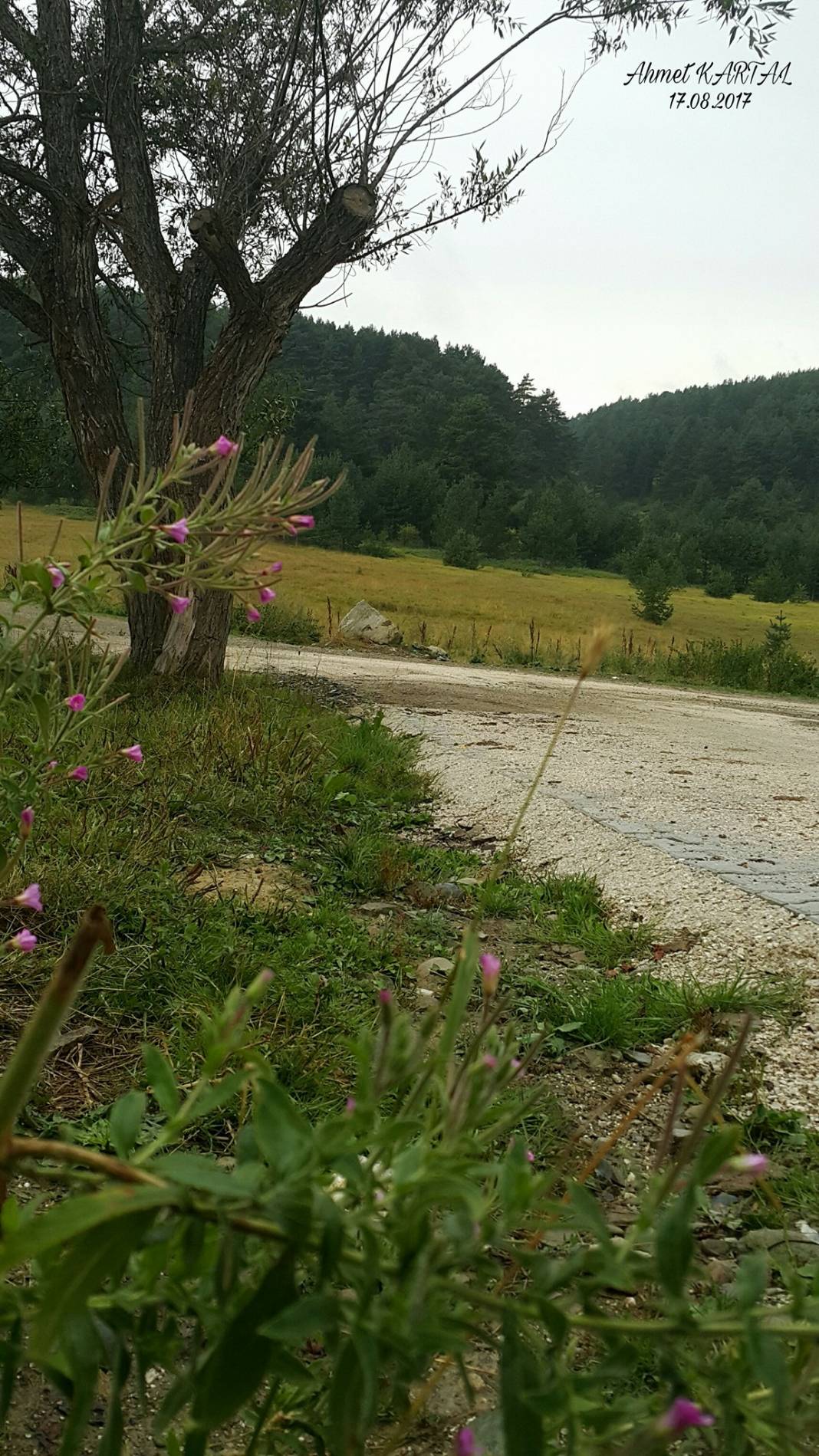 İskilip Dağkıyısı Köyü Resimleri 1