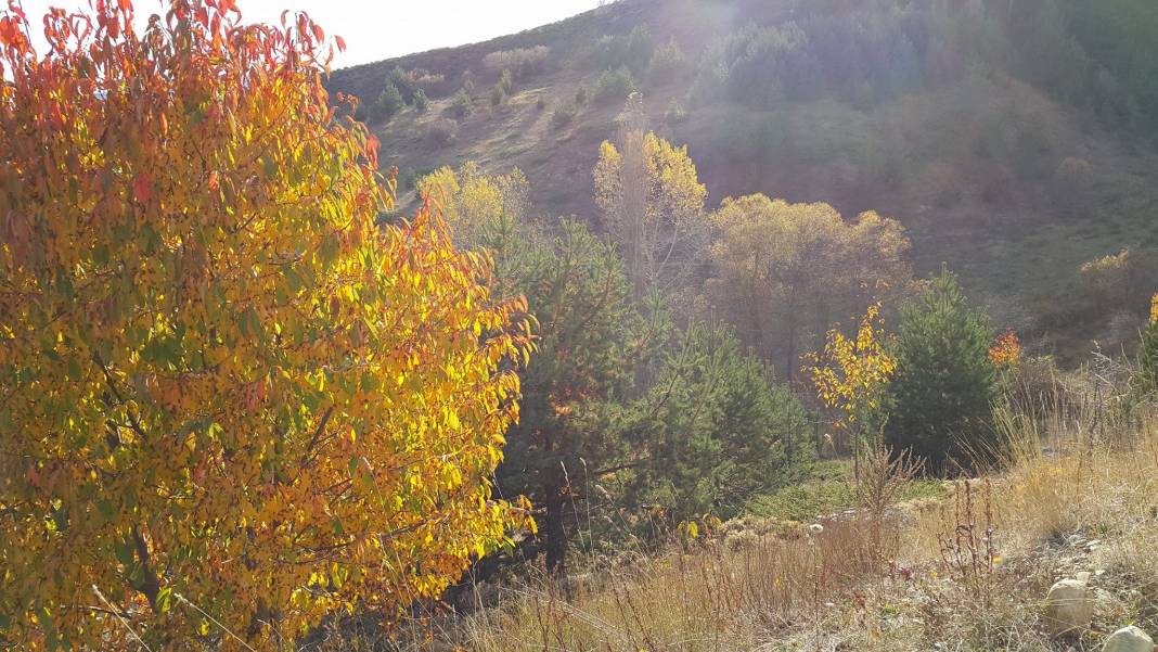 İskilip Dağkıyısı Köyü Resimleri 6