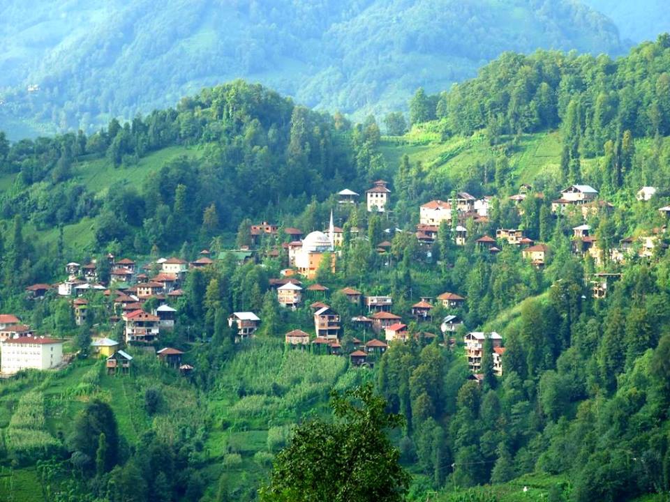 Ardeşen Aşağıdurak Köyü Resimleri 1