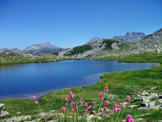 Ardeşen Aşağıdurak Köyü Resimleri 4