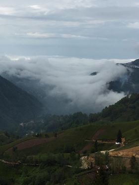 Ardeşen Aşağıdurak Köyü Resimleri 5