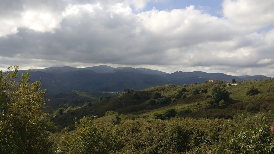 Kocaali Çukurköy Köyü Resimleri 7