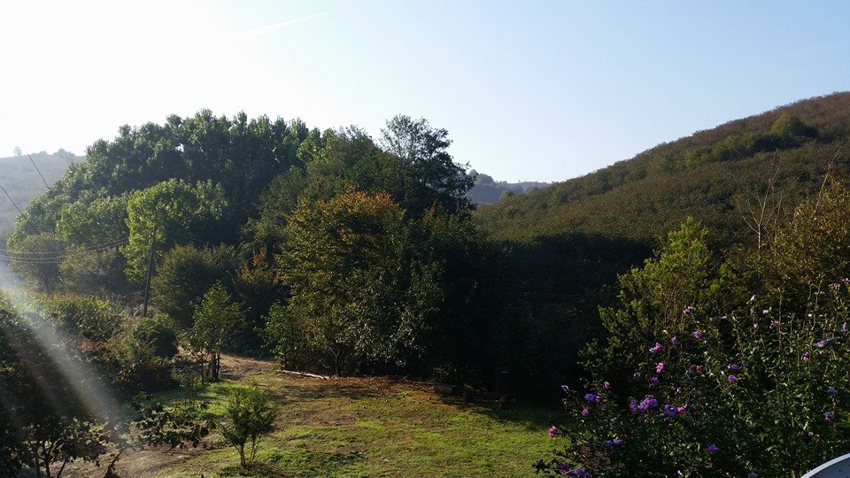 Kocaali Demiraçma Köyü Resimleri 10