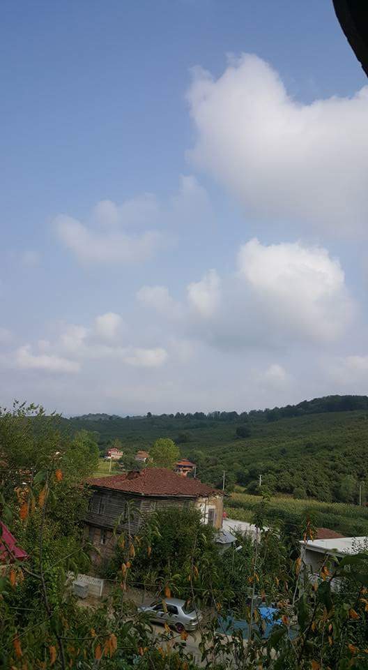 Kocaali Demiraçma Köyü Resimleri 4