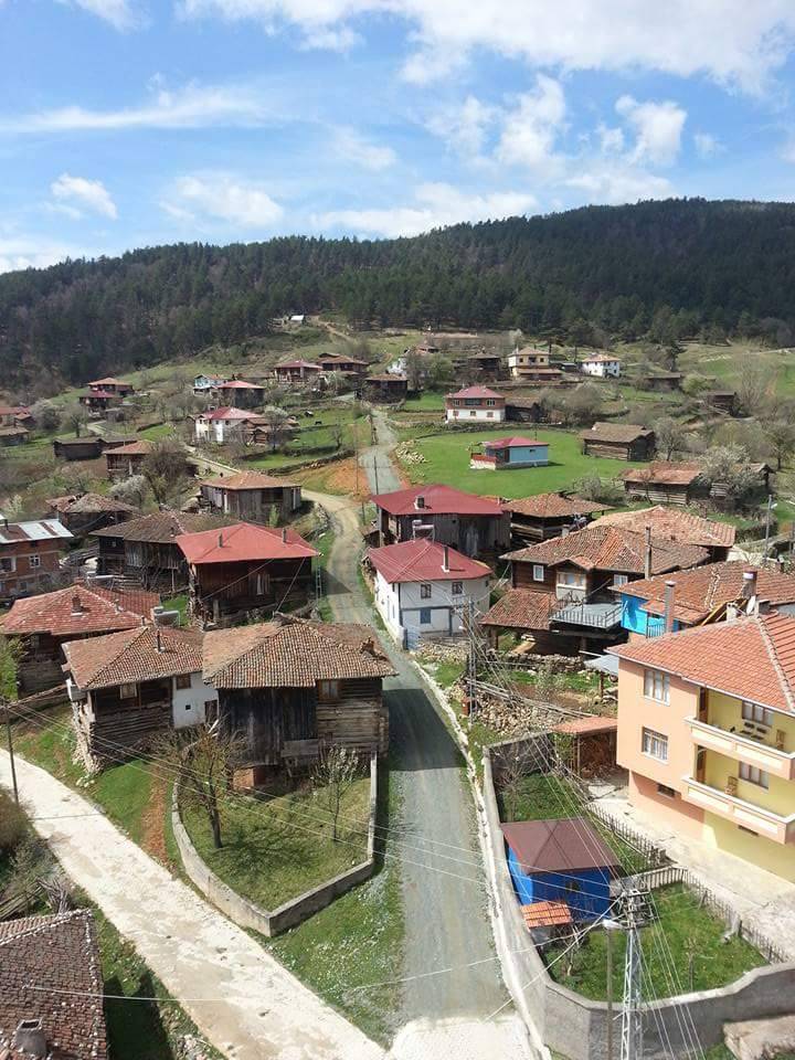 Kargı Cihadiye Köyü Resimleri 1