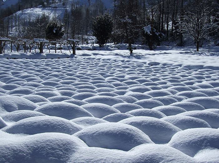 Ardeşen Beyazkaya Köyü Resimleri 2