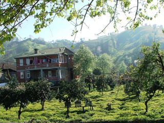 Ardeşen Beyazkaya Köyü Resimleri 3