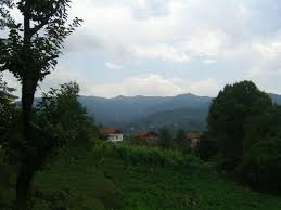 Ardeşen Çıraklar Köyü Resimleri 1