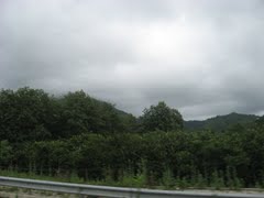 Ardeşen Çıraklar Köyü Resimleri 3