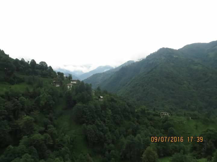 Ardeşen Çıraklar Köyü Resimleri 4