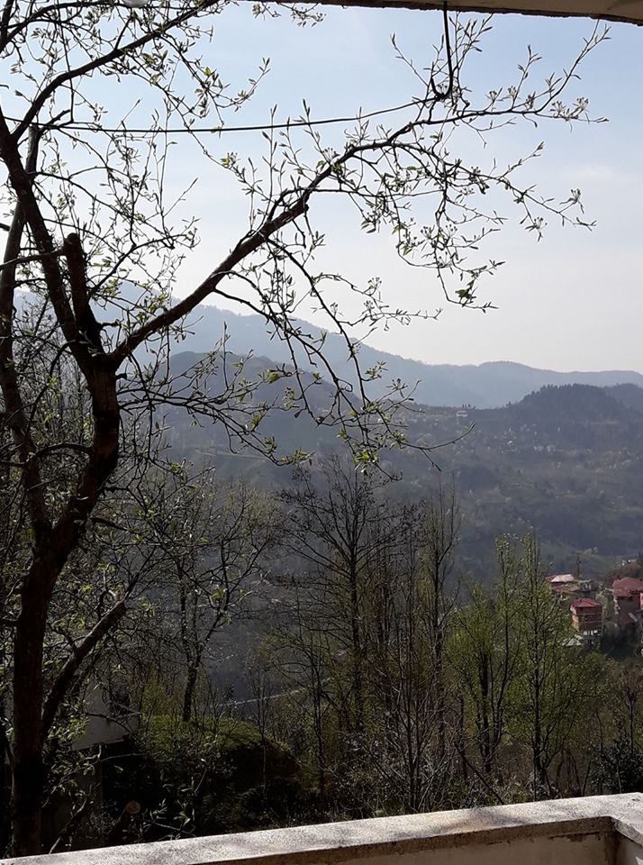 Ardeşen Çıraklar Köyü Resimleri 8