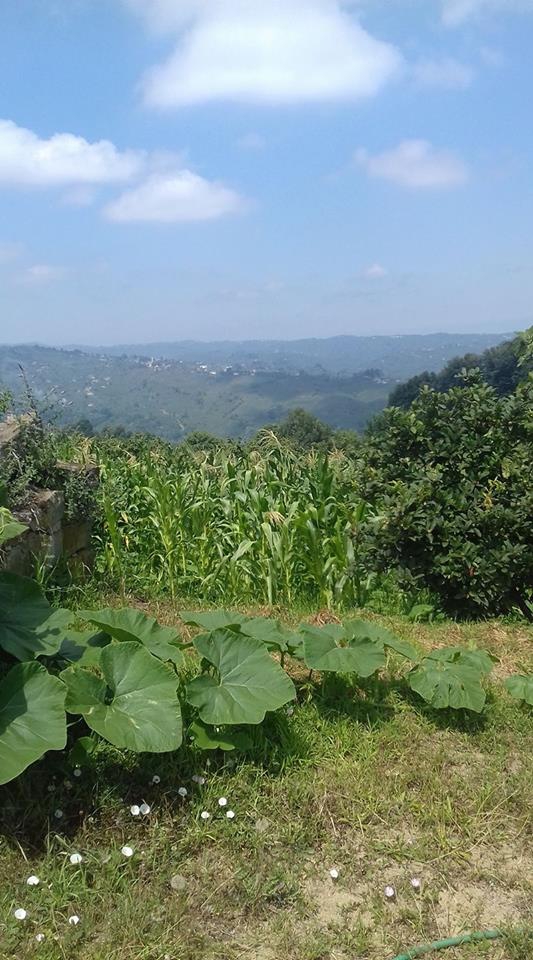 Kocaali Görele Köyü Resimleri 2
