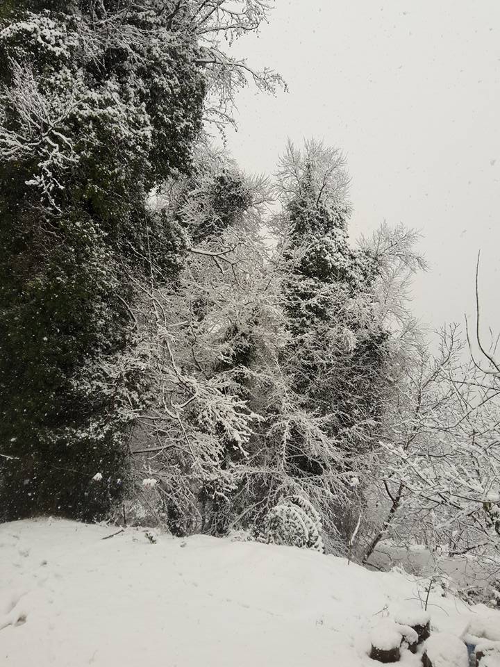 Kocaali Görele Köyü Resimleri 3