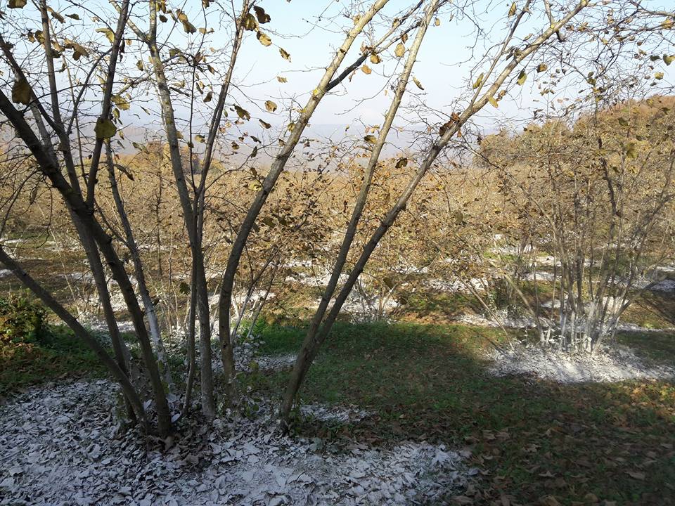 Kocaali Görele Köyü Resimleri 6