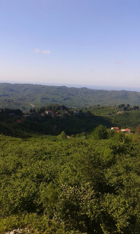 Kocaali Görele Köyü Resimleri 7