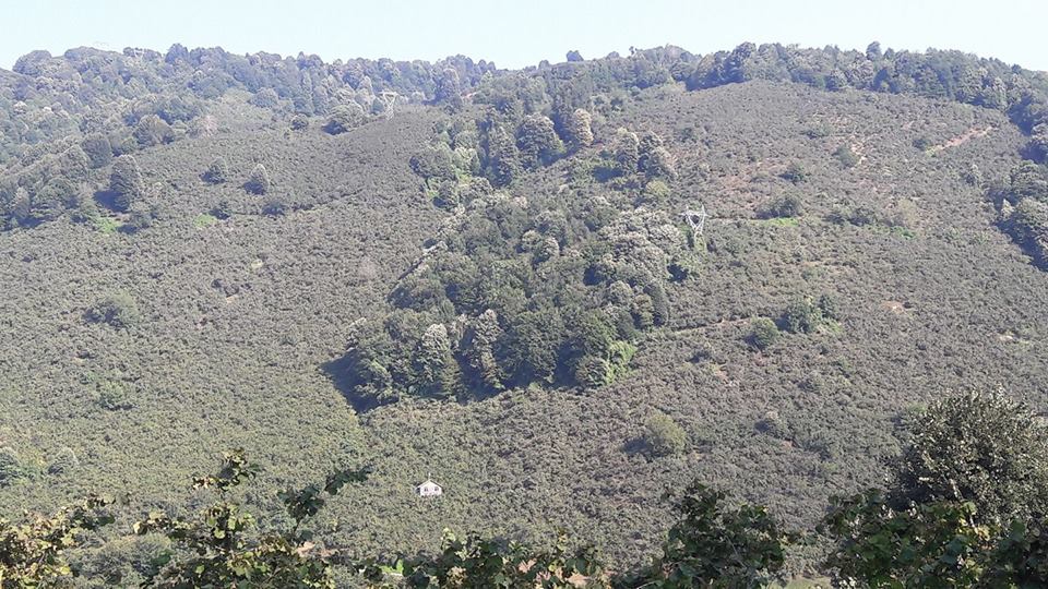 Kocaali Görele Köyü Resimleri 9