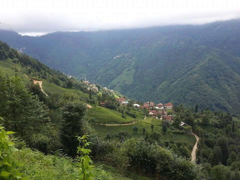 Ardeşen Duygulu Köyü Resimleri 1