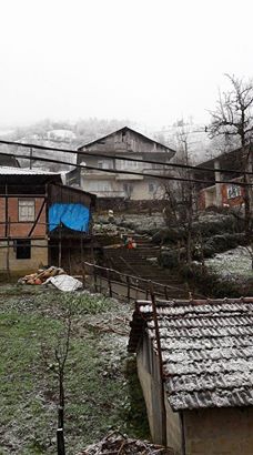 Ardeşen Duygulu Köyü Resimleri 2