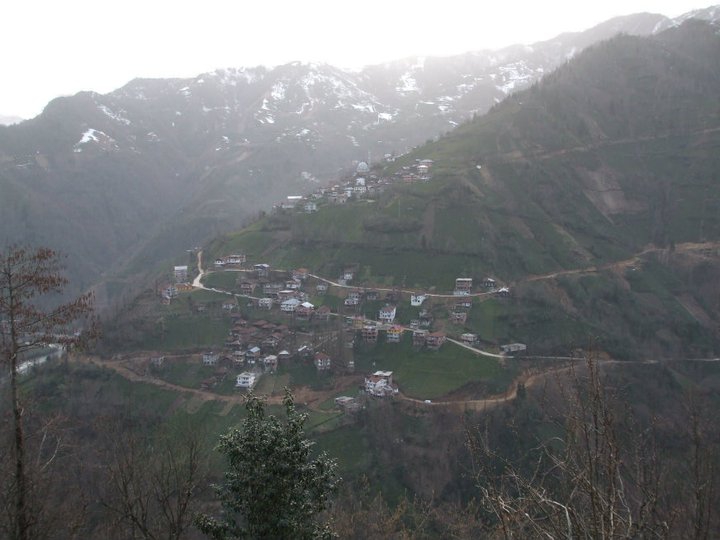 Ardeşen Duygulu Köyü Resimleri 3