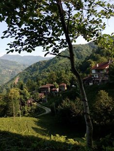 Ardeşen Duygulu Köyü Resimleri 4