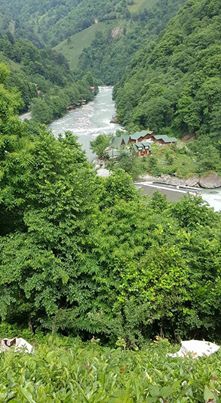 Ardeşen Duygulu Köyü Resimleri 5