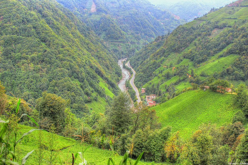 Ardeşen Duygulu Köyü Resimleri 9