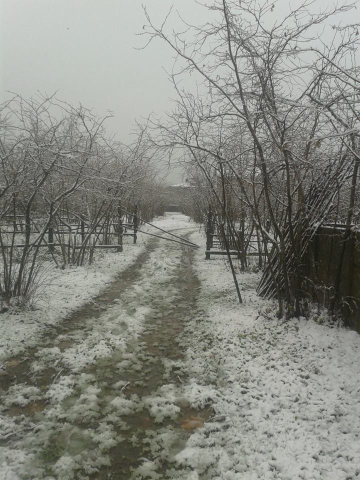 Kocaali Kadıköy Köyü Resimleri 5
