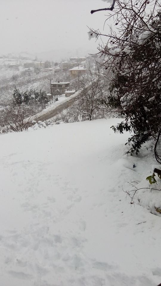 Kocaali Karalar Köyü Resimleri 6