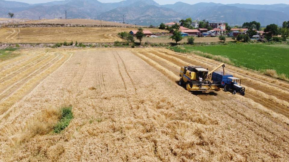 Erbaa Karayaka Kasabası Resimleri 2