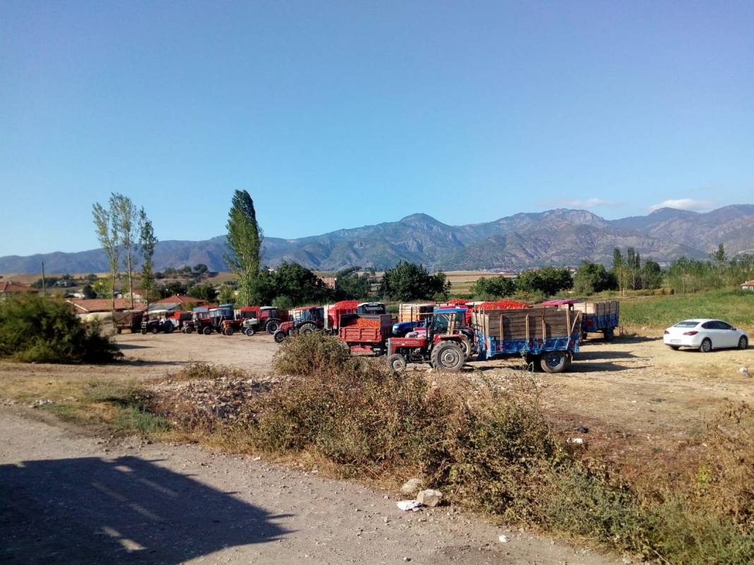 Erbaa Karayaka Kasabası Resimleri 3