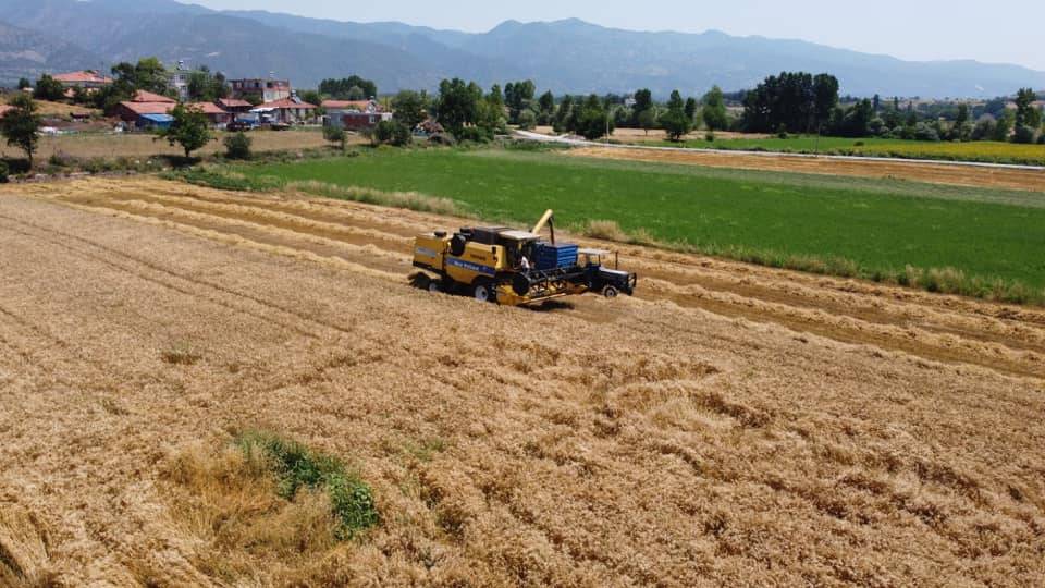 Erbaa Karayaka Kasabası Resimleri 5