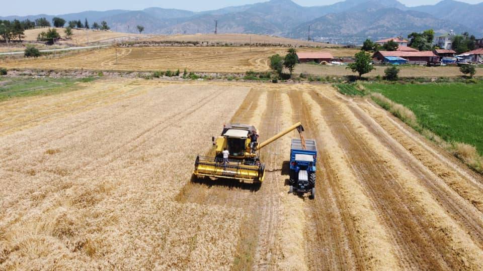 Erbaa Karayaka Kasabası Resimleri 6