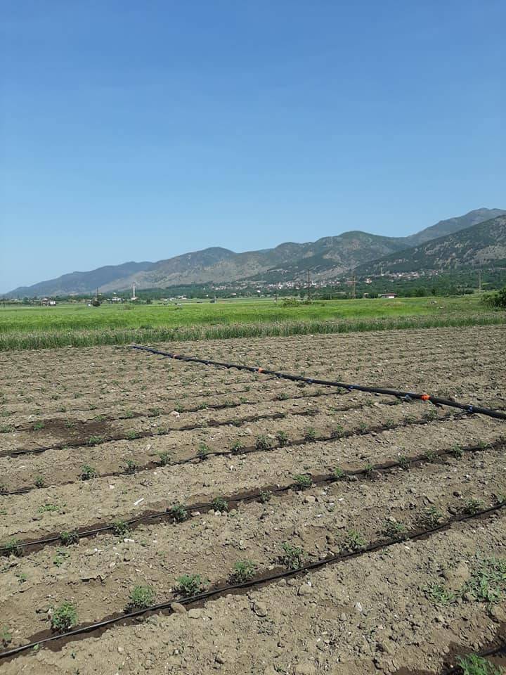 Erbaa Karayaka Kasabası Resimleri 9