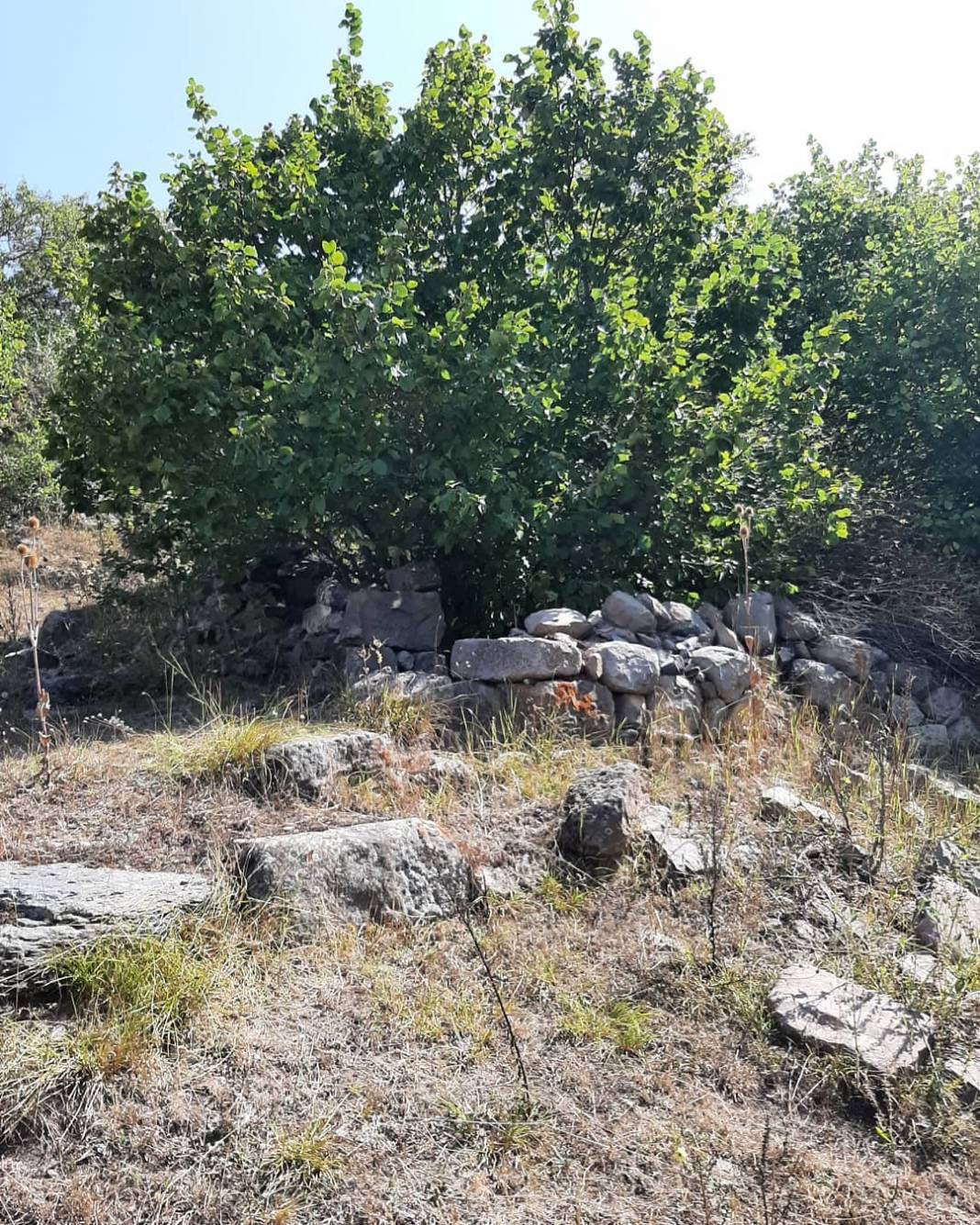 Reşadiye Kızılcaören Kasabası Resimleri 8