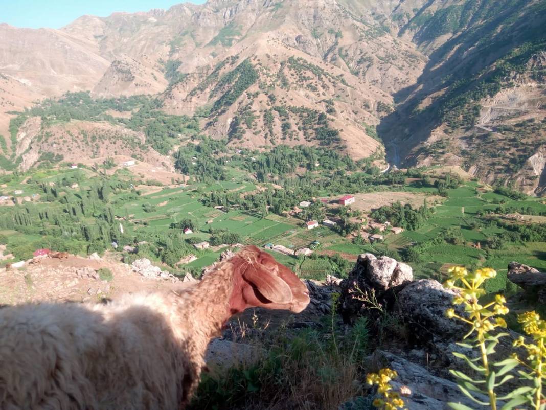 Mutki Açıkalan Köyü Resimleri 2
