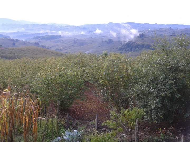 Kocaali Karapelit Köyü Resimleri 1