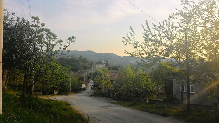 Kocaali Karapelit Köyü Resimleri 10