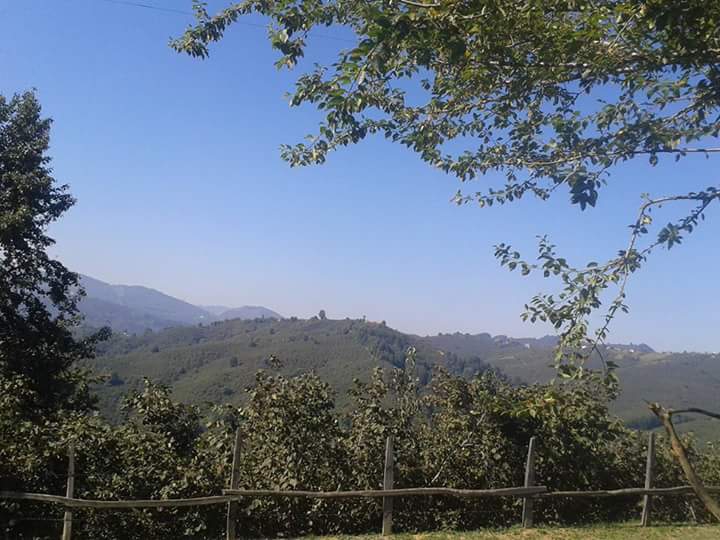 Kocaali Karapelit Köyü Resimleri 2