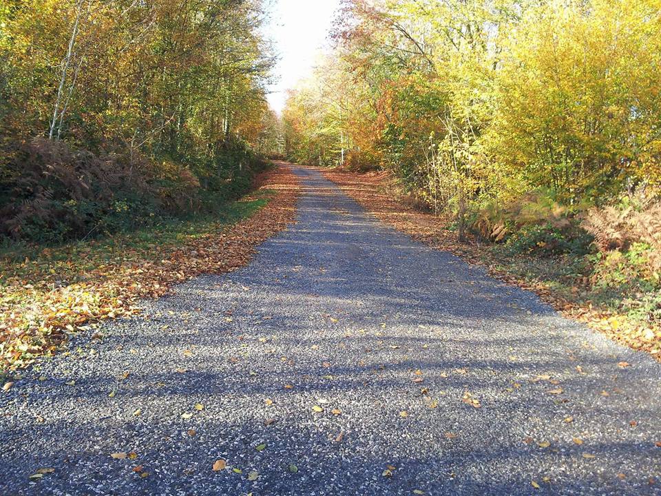 Kocaali Karapelit Köyü Resimleri 3