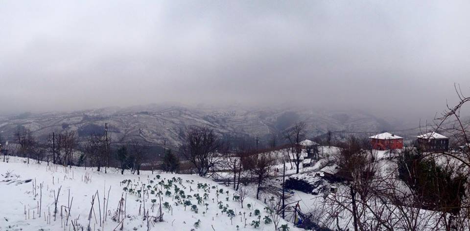 Kocaali Karapelit Köyü Resimleri 4