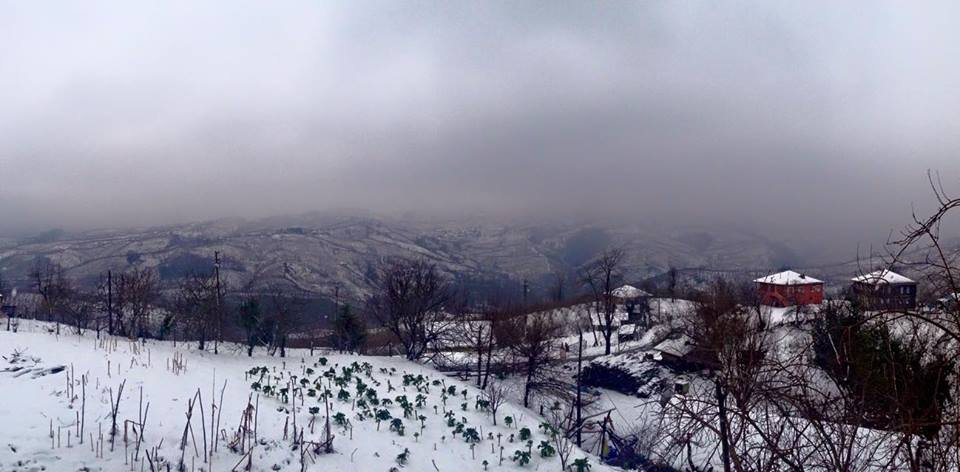 Kocaali Karapelit Köyü Resimleri 7