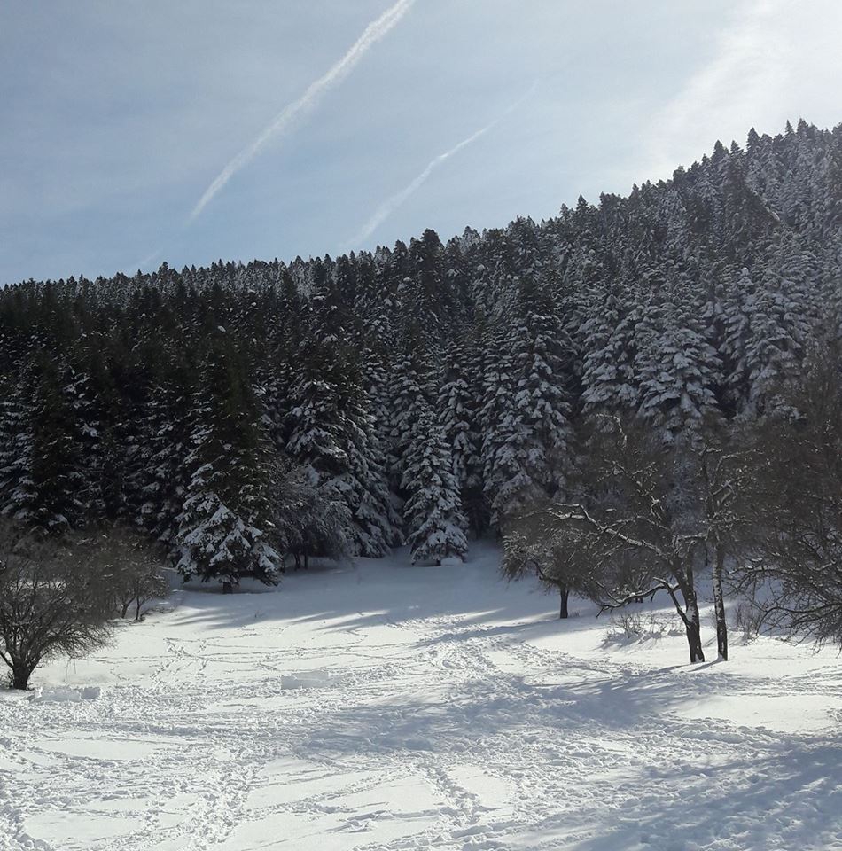 Kocaali Karapelit Köyü Resimleri 8