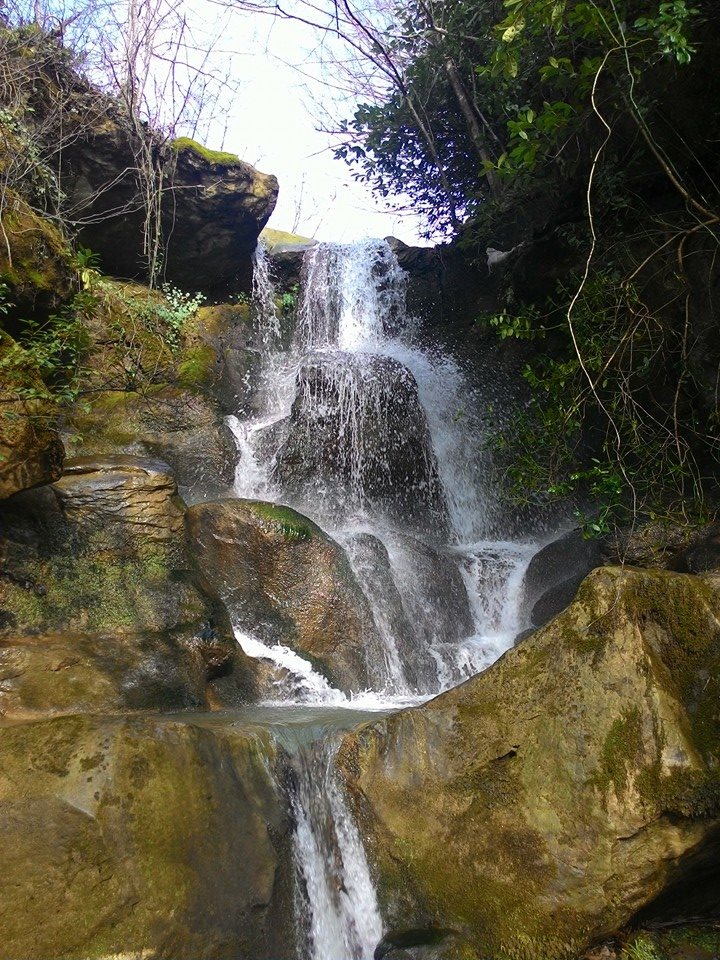 Kocaali Karapelit Köyü Resimleri 9