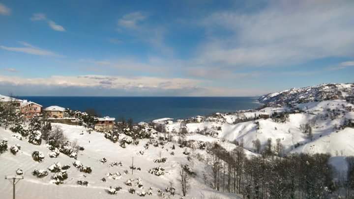 Ardeşen Işıklı Köyü Resimleri 5