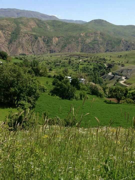 Mutki Aydemir Köyü Resimleri 1